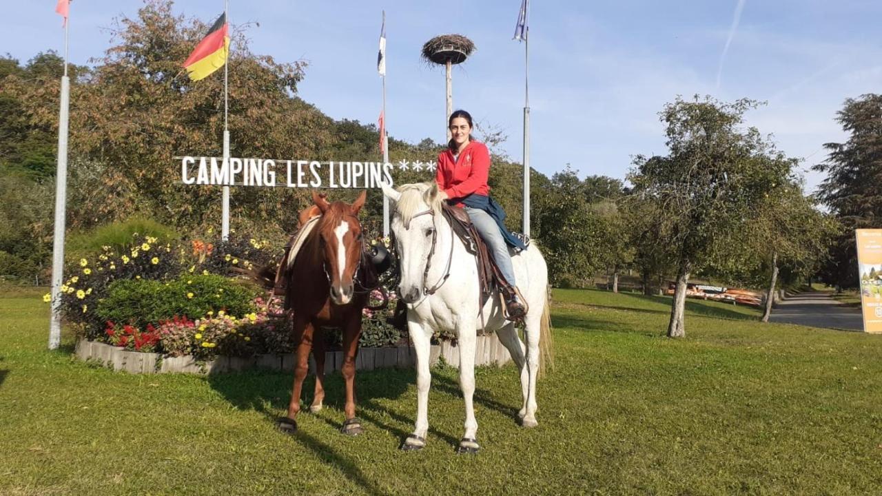 Camping Les Lupins Seppois-le-Bas Экстерьер фото