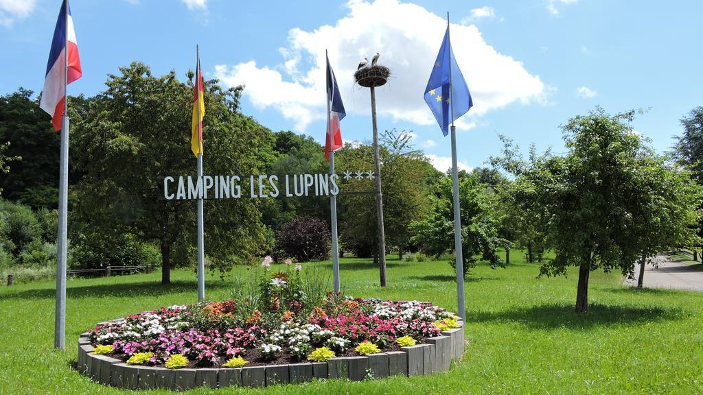 Camping Les Lupins Seppois-le-Bas Экстерьер фото